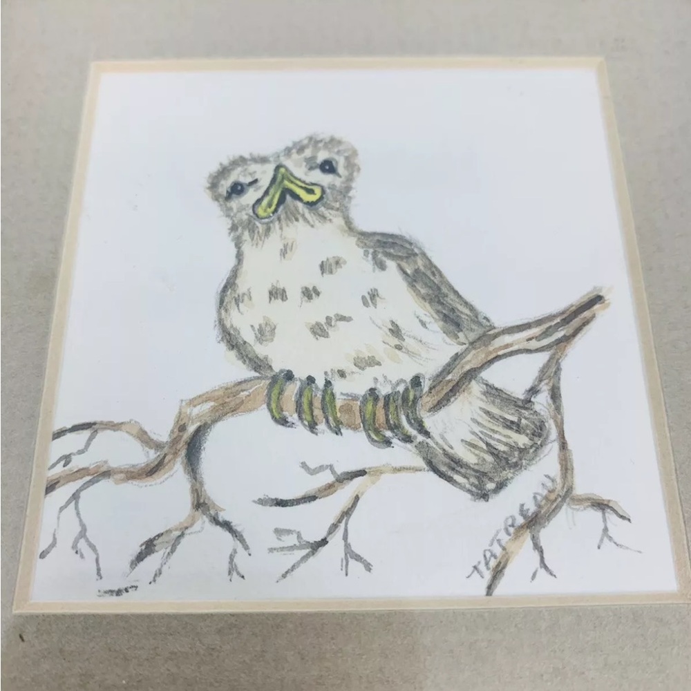 Baby Owl Art Hand Drawing Matted Picture Signed Original - Picture 4 of 9